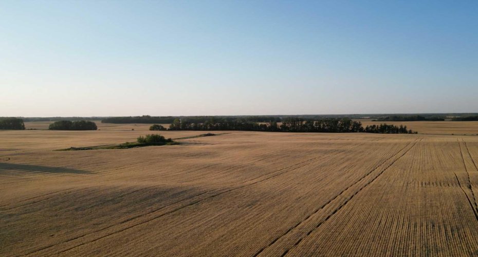 Range Road 224 Township 604, Rural Thorhild County, Alberta T0A 3J0, ,Land,For Sale,Range Road 224 Township 604,A2252824