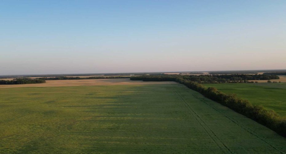 Range Road 224 Township 610, Rural Thorhild County, Alberta T0A 3J0, ,Land,For Sale,Range Road 224 Township 610,A2252908