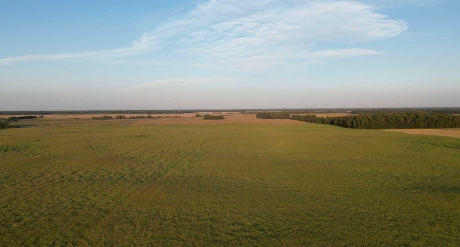 Range Road 224 Township 610, Rural Thorhild County, Alberta T0A 3J0, ,Land,For Sale,Range Road 224 Township 610,A2252908