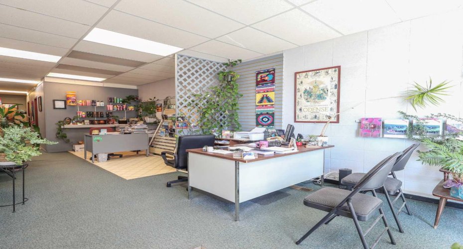 5002 50 Street, Stettler, Alberta T4K 1K9, ,Commercial,For Sale,50,A2244776