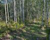 660022 - Range Road 225.5 (Unit 35), Athabasca, Alberta T9S 1C4, ,Land,For Sale,(Unit 35),A2253614
