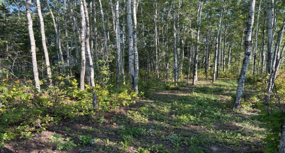 660022 - Range Road 225.5 (Unit 35), Athabasca, Alberta T9S 1C4, ,Land,For Sale,(Unit 35),A2253614