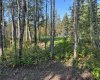 660022 - Range Road 225.5 (Unit 35), Athabasca, Alberta T9S 1C4, ,Land,For Sale,(Unit 35),A2253614