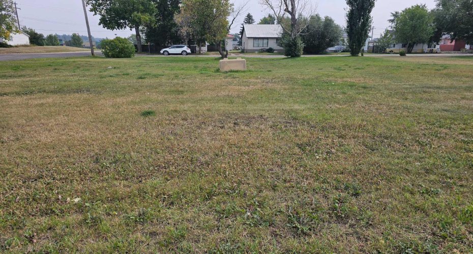 5010 52 Street, Castor, Alberta T0C0X0, ,Land,For Sale,52,A2253822