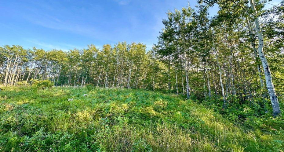 67417 McGrane Road, Lac La Biche, Alberta T0A 2C2, ,Land,For Sale,McGrane Road,A2254769