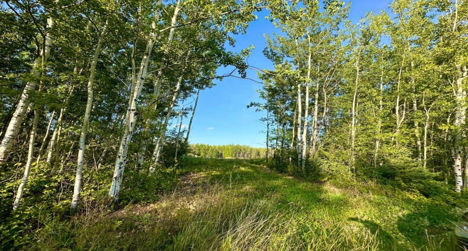 67417 McGrane Road, Lac La Biche, Alberta T0A 2C2, ,Land,For Sale,McGrane Road,A2254769