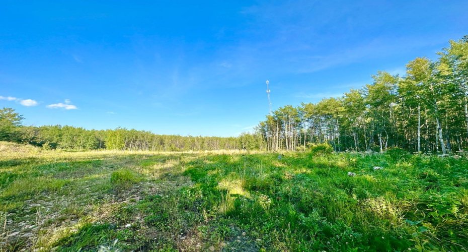 67417 McGrane Road, Lac La Biche, Alberta T0A 2C2, ,Land,For Sale,McGrane Road,A2254769