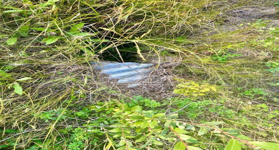 67417 McGrane Road, Lac La Biche, Alberta T0A 2C2, ,Land,For Sale,McGrane Road,A2254769