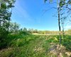 67417 McGrane Road, Lac La Biche, Alberta T0A 2C2, ,Land,For Sale,McGrane Road,A2254769