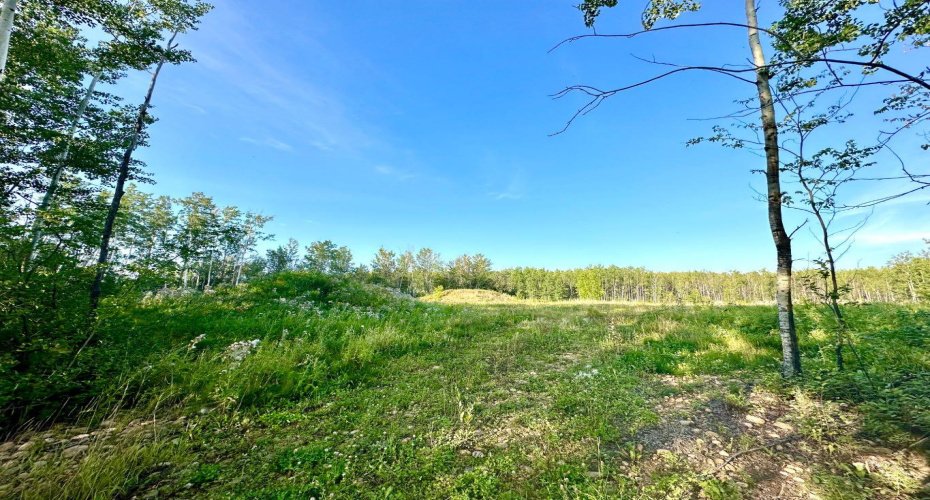 67417 McGrane Road, Lac La Biche, Alberta T0A 2C2, ,Land,For Sale,McGrane Road,A2254769
