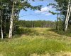 67417 McGrane Road, Lac La Biche, Alberta T0A 2C2, ,Land,For Sale,McGrane Road,A2254769