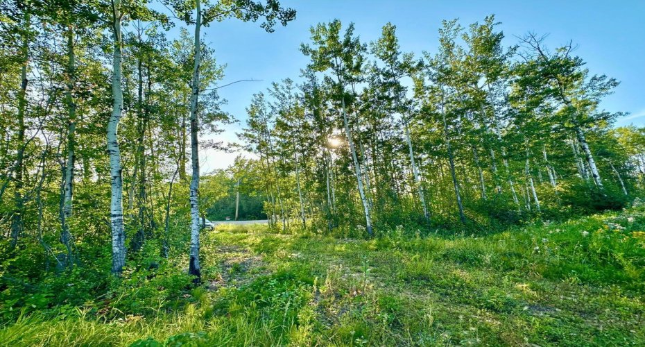 67417 McGrane Road, Lac La Biche, Alberta T0A 2C2, ,Land,For Sale,McGrane Road,A2254769