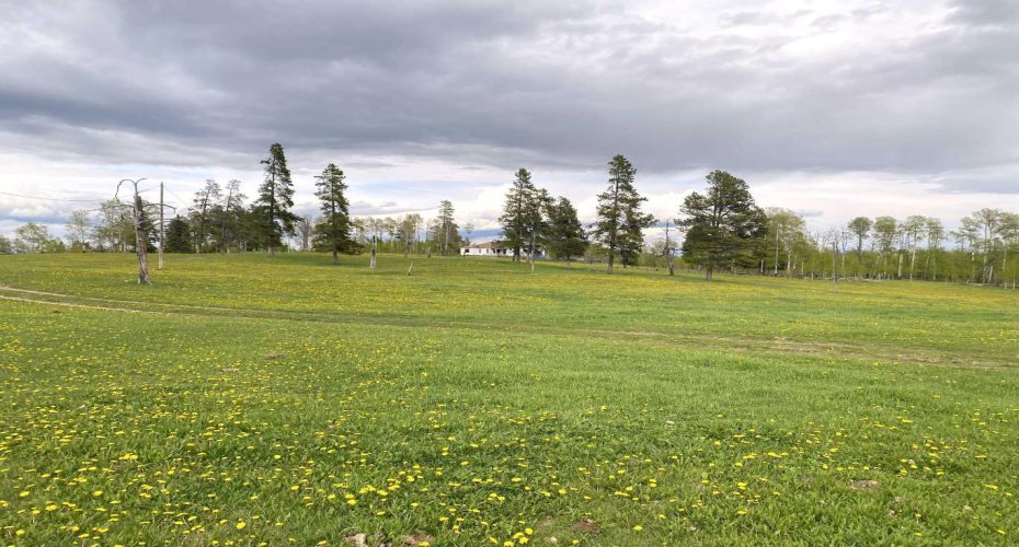 Picturesque from every angle