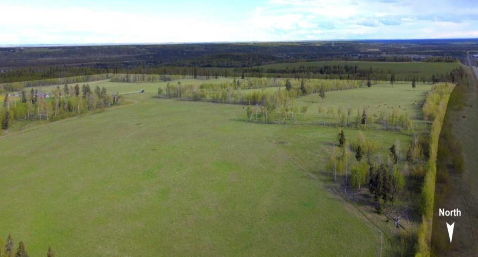 Mix of trees and pasture