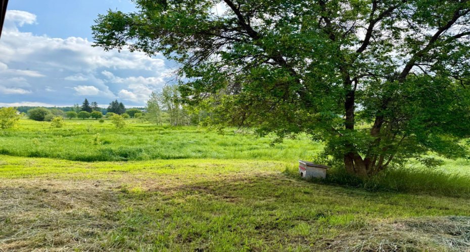 9917 103 Avenue, Plamondon, Alberta T0A 0M0, 4 Bedrooms Bedrooms, ,1 BathroomBathrooms,Residential,For Sale,103,A2237253