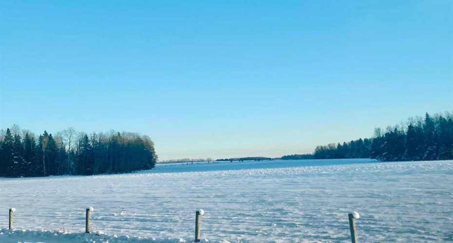 On Range Road 6-0, Rural Clearwater County, Alberta T0M 0C0, ,Land,For Sale,Range Road 6-0,A2254667