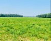 On Range Road 6-0, Rural Clearwater County, Alberta T0M 0C0, ,Land,For Sale,Range Road 6-0,A2254667