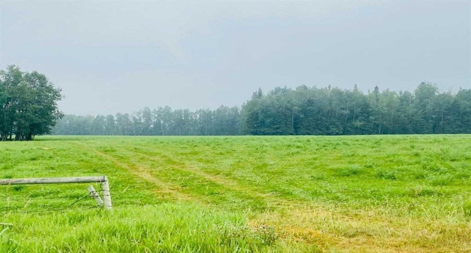 On Range Road 6-0, Rural Clearwater County, Alberta T0M 0C0, ,Land,For Sale,Range Road 6-0,A2254667