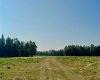 On Range Road 6-0, Rural Clearwater County, Alberta T0M 0C0, ,Land,For Sale,Range Road 6-0,A2254667