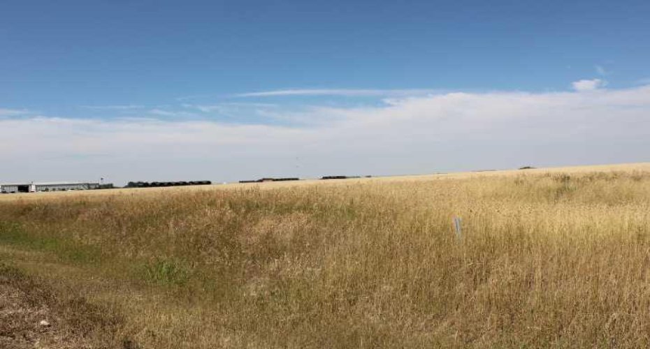 1110 1 Avenue, Bow Island, Alberta T0K 0G0, ,Land,For Sale,1,A2255189