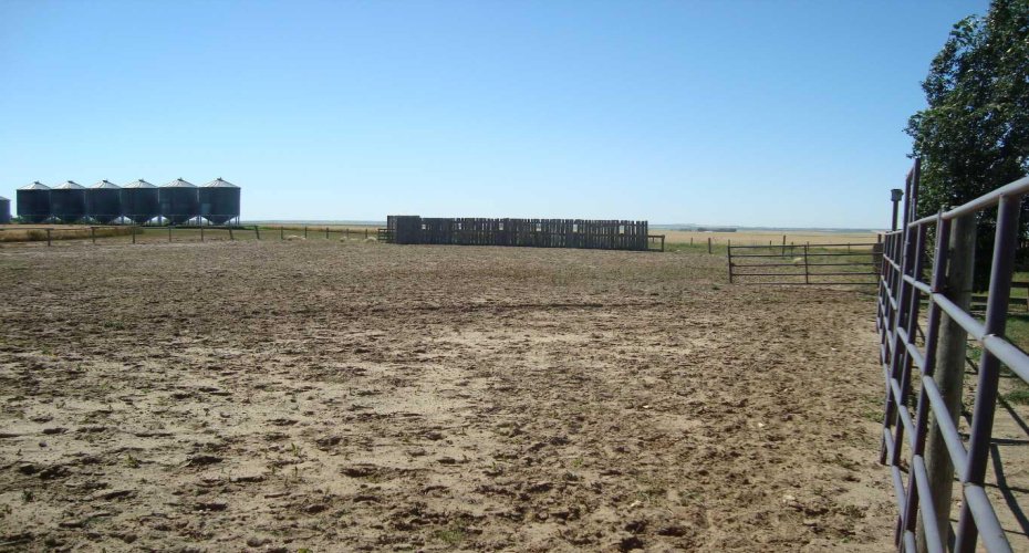 340032 Rge. Rd. 24-5, Rural Kneehill County, Alberta T0M2C0, 4 Bedrooms Bedrooms, ,3 BathroomsBathrooms,Residential,For Sale,Rge. Rd. 24-5,A2255314