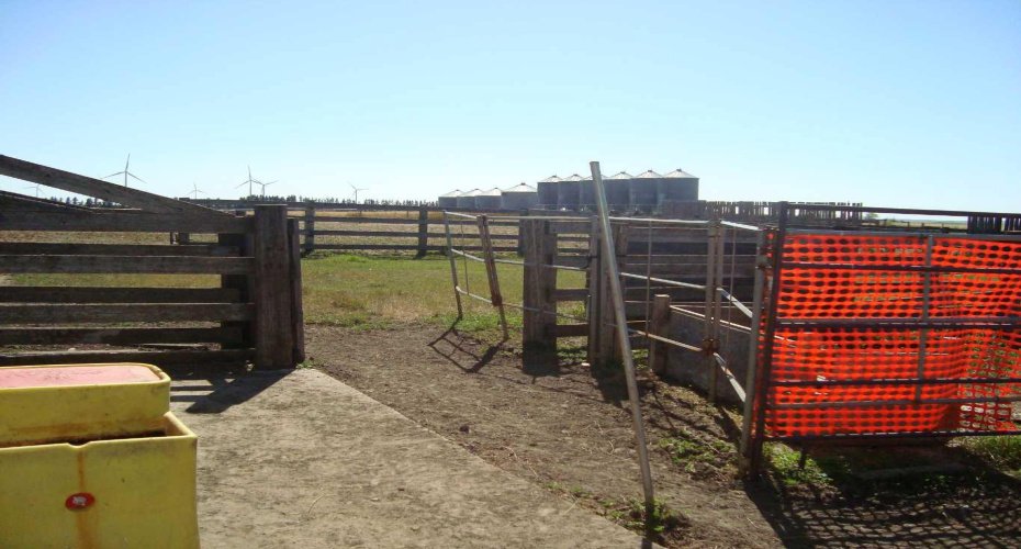 340032 Rge. Rd. 24-5, Rural Kneehill County, Alberta T0M2C0, 4 Bedrooms Bedrooms, ,3 BathroomsBathrooms,Residential,For Sale,Rge. Rd. 24-5,A2255314