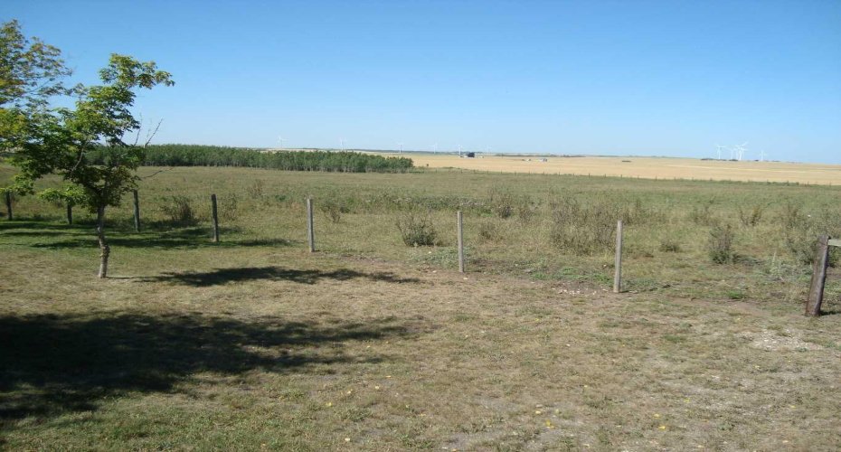 340032 Rge. Rd. 24-5, Rural Kneehill County, Alberta T0M2C0, 4 Bedrooms Bedrooms, ,3 BathroomsBathrooms,Residential,For Sale,Rge. Rd. 24-5,A2255314