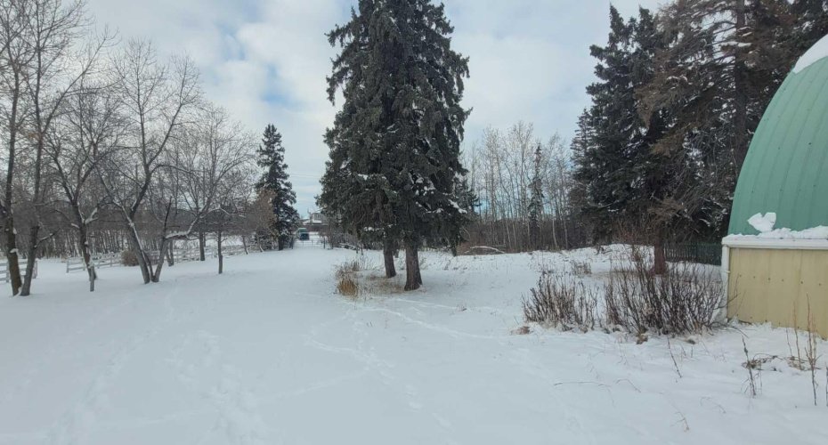 38449 Highway 20, Sylvan Lake, Alberta T4S1Z7, ,Land,For Sale,Highway 20,A2100343