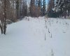 38449 Highway 20, Sylvan Lake, Alberta T4S1Z7, ,Land,For Sale,Highway 20,A2100343