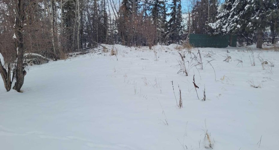 38449 Highway 20, Sylvan Lake, Alberta T4S1Z7, ,Land,For Sale,Highway 20,A2100343