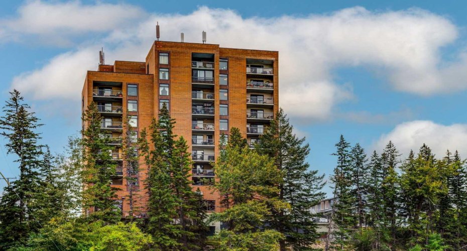 8604 48 Avenue, Calgary, Alberta T3B 5E6, 2 Bedrooms Bedrooms, ,1 BathroomBathrooms,Residential,For Sale,48,A2255215