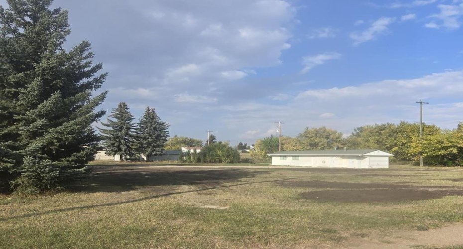 4910 48 Street, Sedgewick, Alberta T0B 4C0, ,Land,For Sale,48,A2256777