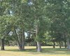 45 Timber Trail, Rural Mountain View County, Alberta T0M 1X0, ,Land,For Sale,Timber,A2255481