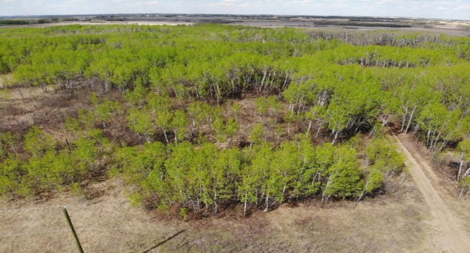 450031 73 Range, Rural Wainwright No. 61, M.D. of, Alberta T9W 1L5, ,Land,For Sale,73,A1150648