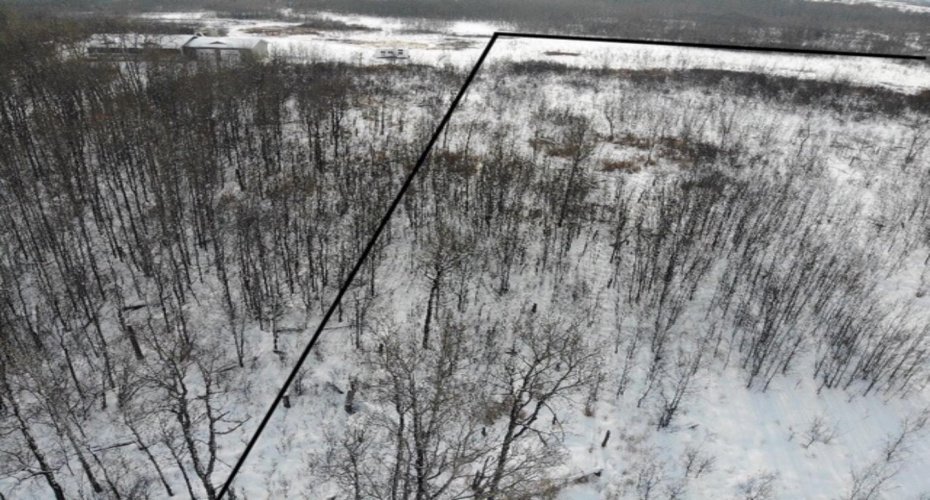 450031 73 Range, Rural Wainwright No. 61, M.D. of, Alberta T9W 1L5, ,Land,For Sale,73,A1150648