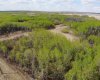 14 450031 73 Range, Rural Wainwright No. 61, M.D. of, Alberta T9W 1L5, ,Land,For Sale,73,A1150664