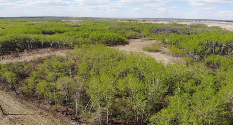 14 450031 73 Range, Rural Wainwright No. 61, M.D. of, Alberta T9W 1L5, ,Land,For Sale,73,A1150664