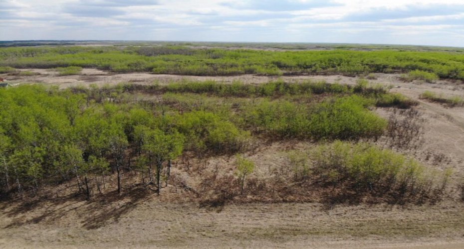 14 450031 73 Range, Rural Wainwright No. 61, M.D. of, Alberta T9W 1L5, ,Land,For Sale,73,A1150664