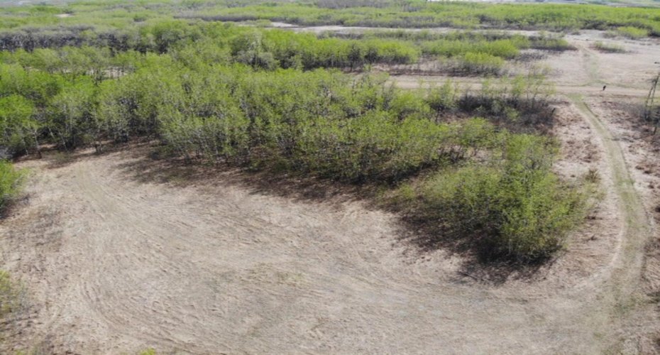 14 450031 73 Range, Rural Wainwright No. 61, M.D. of, Alberta T9W 1L5, ,Land,For Sale,73,A1150664