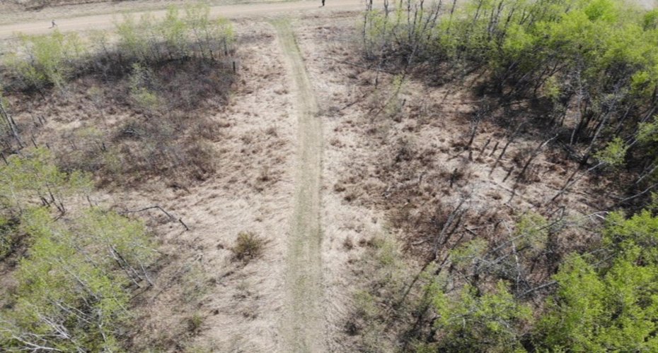 14 450031 73 Range, Rural Wainwright No. 61, M.D. of, Alberta T9W 1L5, ,Land,For Sale,73,A1150664