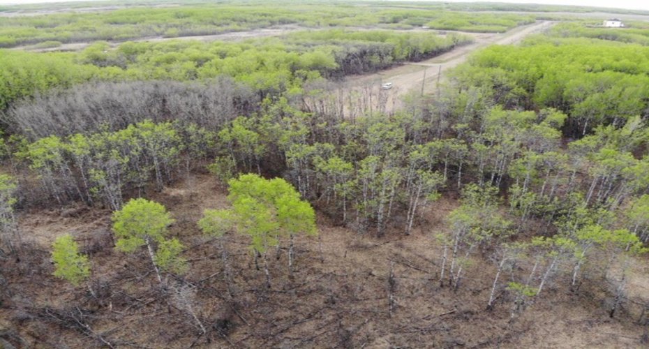 26 450031 73 Range, Rural Wainwright No. 61, M.D. of, Alberta T9W 1L5, ,Land,For Sale,73,A1150693