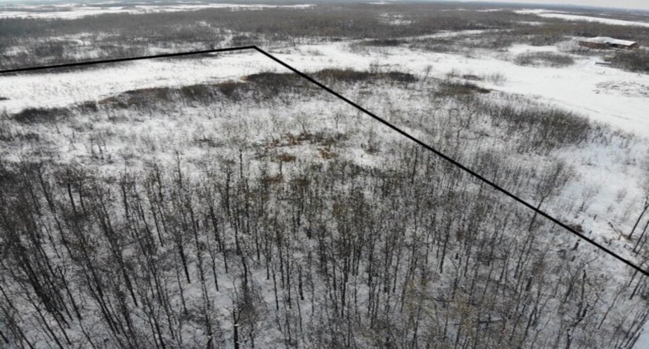 26 450031 73 Range, Rural Wainwright No. 61, M.D. of, Alberta T9W 1L5, ,Land,For Sale,73,A1150693