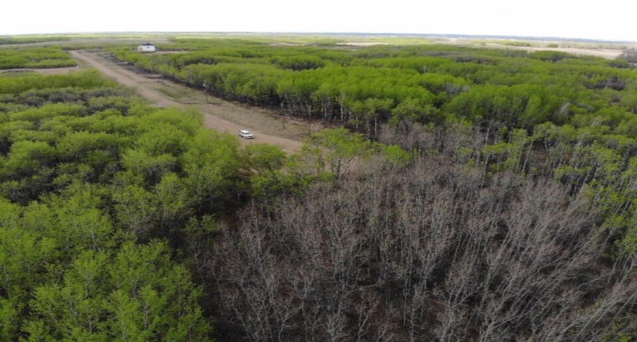 29 450031 73 Range, Rural Wainwright No. 61, M.D. of, Alberta T9W 1L5, ,Land,For Sale,73,A1150695