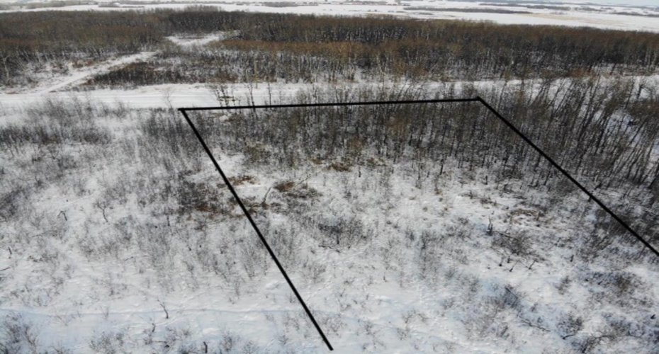 29 450031 73 Range, Rural Wainwright No. 61, M.D. of, Alberta T9W 1L5, ,Land,For Sale,73,A1150695