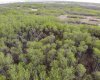 25 450031 73 Range, Rural Wainwright No. 61, M.D. of, Alberta T9W 1L5, ,Land,For Sale,73,A1150699