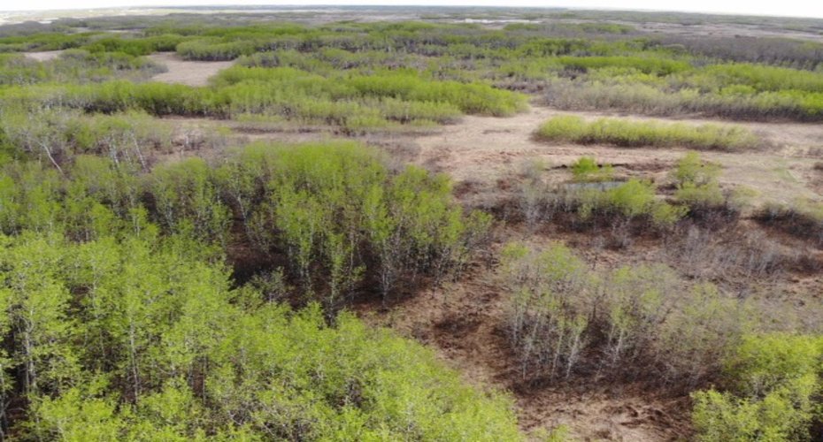 25 450031 73 Range, Rural Wainwright No. 61, M.D. of, Alberta T9W 1L5, ,Land,For Sale,73,A1150699