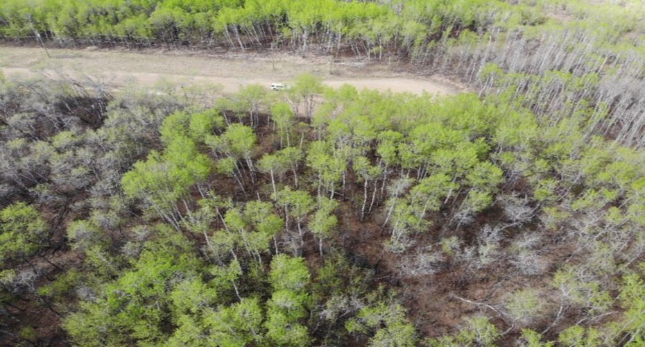 25 450031 73 Range, Rural Wainwright No. 61, M.D. of, Alberta T9W 1L5, ,Land,For Sale,73,A1150699