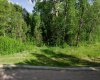 Lot 5 44 Avenue Close, Alix, Alberta T0C 0B0, ,Land,For Sale,44,A2106668