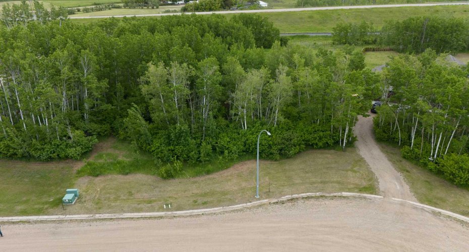 Lot 8 44 Avenue Close, Alix, Alberta T0C 0B0, ,Land,For Sale,44,A2106672