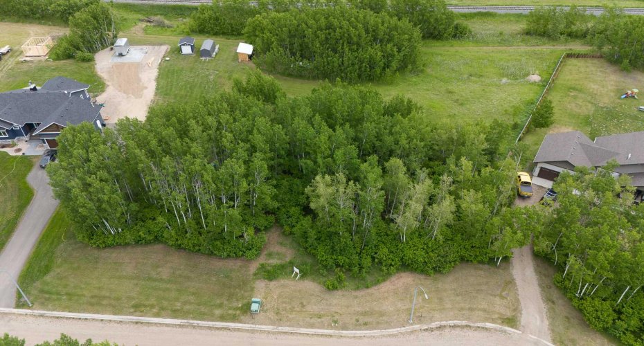 Lot 8 44 Avenue Close, Alix, Alberta T0C 0B0, ,Land,For Sale,44,A2106672